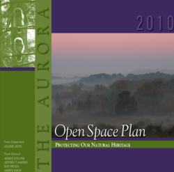 Open Space Plan.jpg